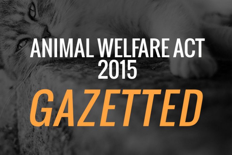 animal-welfare-act-2015-gazetted-spca-selangor