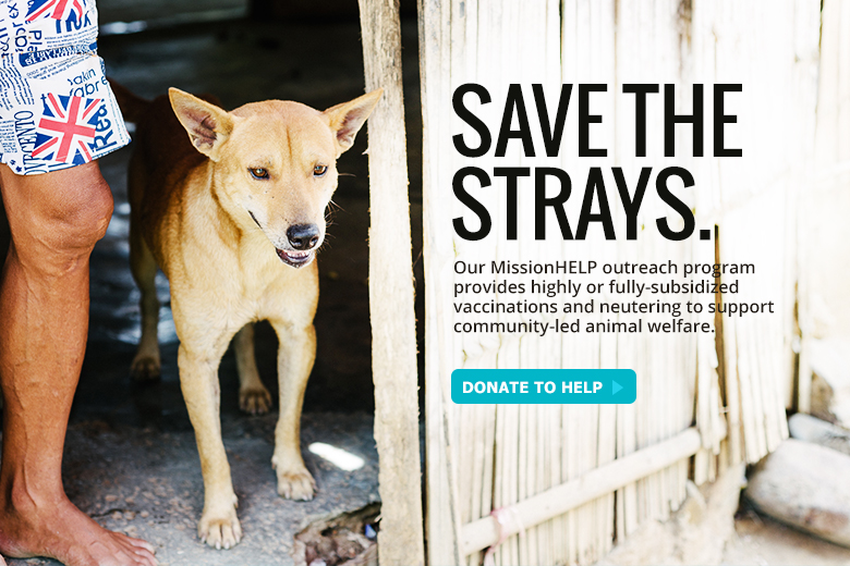 MissionHELP Save The Strays SPCA Selangor