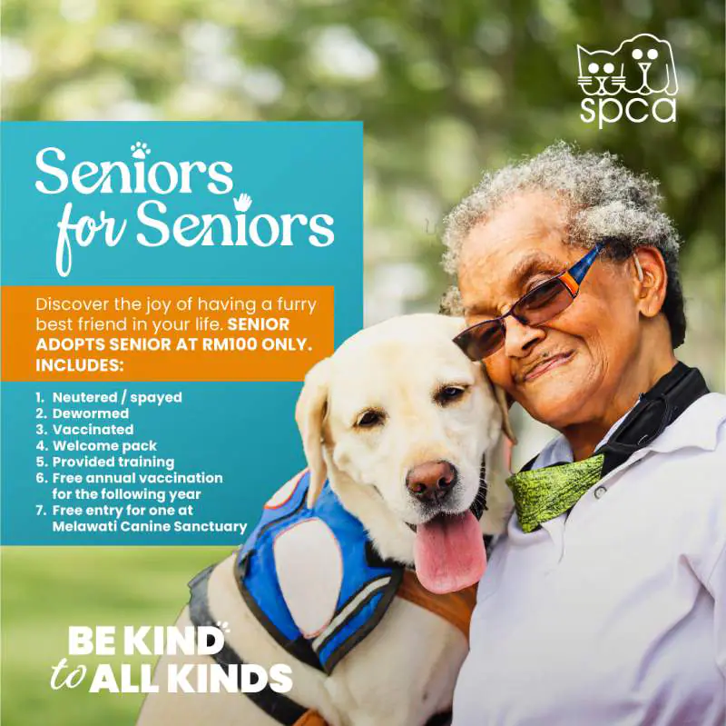 Seniors for Seniors